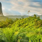 Pico Cão Grande in São Tomé: A Natural Wonder and Challenge for Adventurers