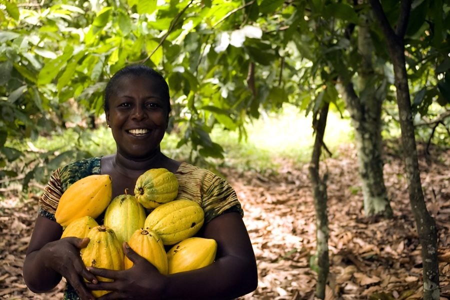 Cacao Route Tour