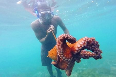 São Tomé and Príncipe’s Best Diving Spots